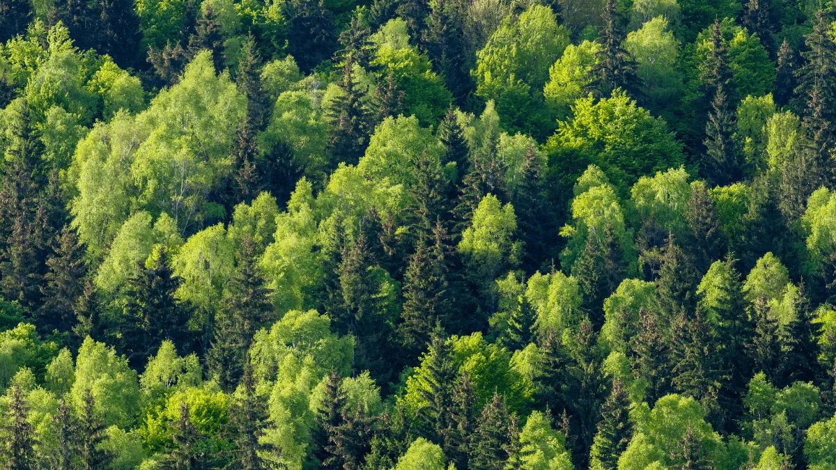 今年の花粉は「近年最速」。室内・室外での花粉対策を徹底解説！空気清浄機の正しい使い方とは？