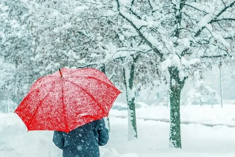 【2026年2月3日最新】❄️東京で雪が降るのはいつ？週末から寒波到来か｜雪の予想と家でできる防寒・節電対策